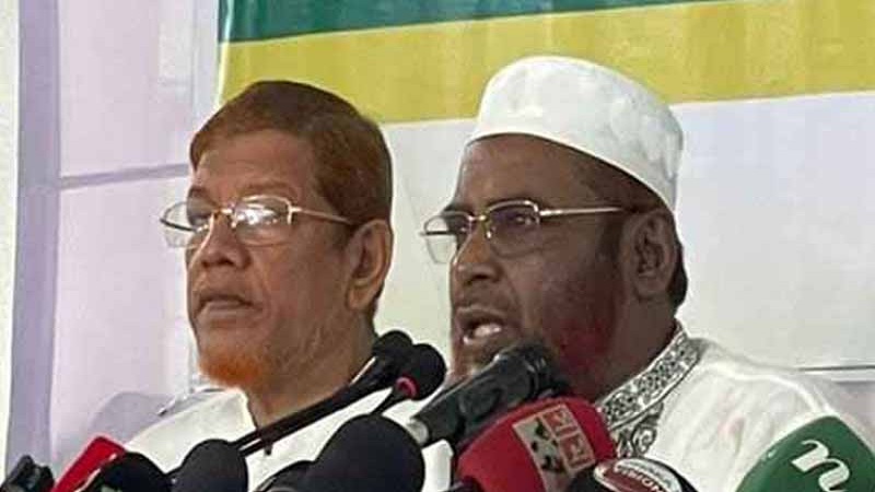 গণভোটের রায় বাস্তবায়নে ১৮ এপ্রিল থেকে টানা কর্মসূচি,২ মে পর ঢাকায় মহাসমাবেশের ঘোষণা